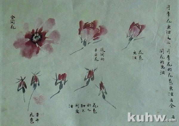 写意月季花的画法