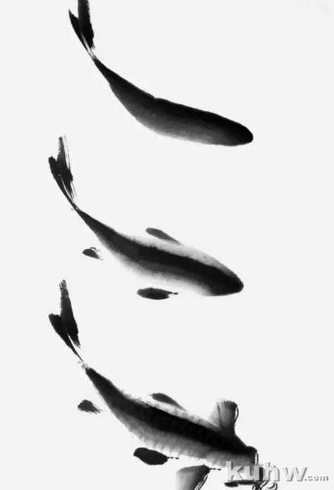 图文教程：写意鲤鱼画法详解