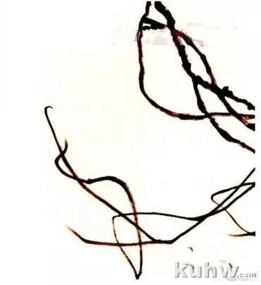 怎么画紫藤,写意紫藤的画法与步骤图