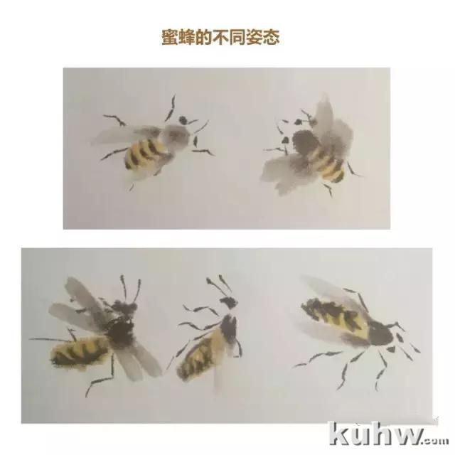 国画教程：蜜蜂画法