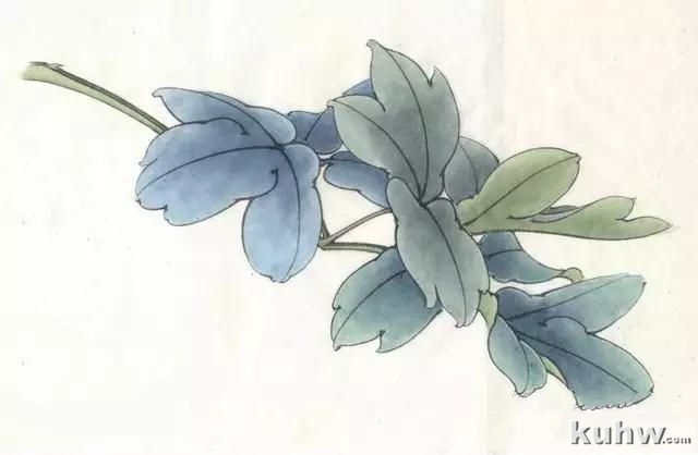 画友之家-技法篇-工笔柿子和牡丹画法大集合，快快收藏！