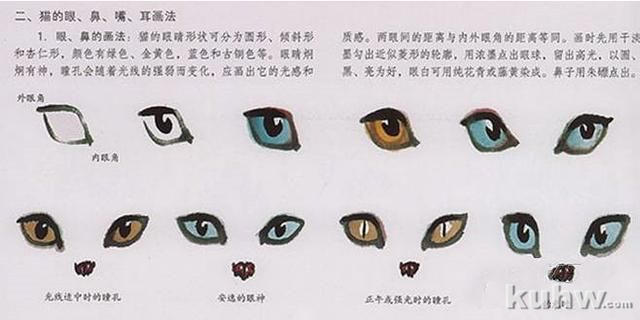 国画技法:教大家画萌萌的喵星人!