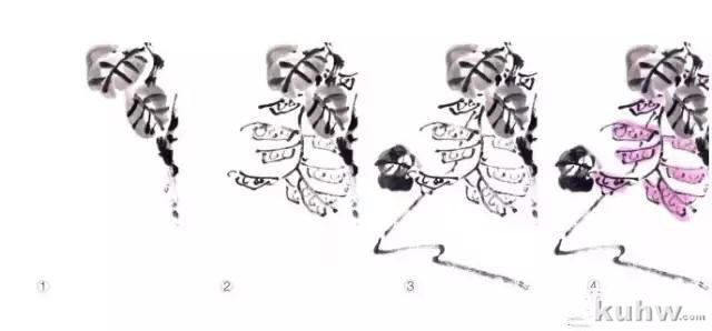 写意藤蔓植物画法教程 藤蔓,叶的组合画法,牵牛花扁豆紫藤凌霄葫芦丝瓜葡萄南瓜的写意画法