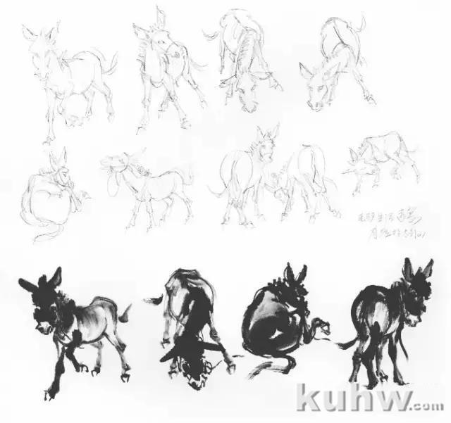 教你怎样画毛驴,小毛驴简单画法画法,国画写意毛驴的画法和步骤图解