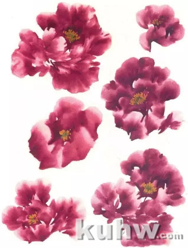 牡丹九大色系特点与画法