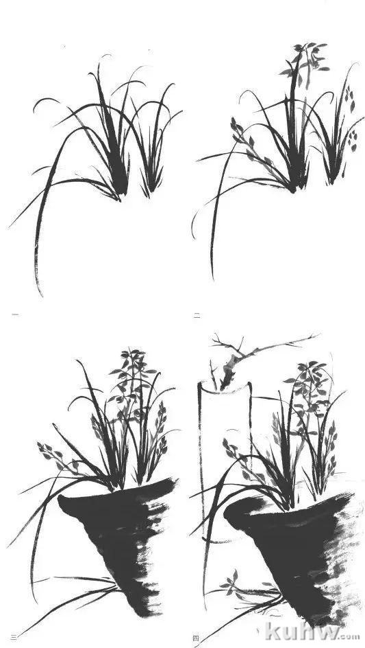兰花画法示范