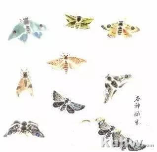 图文教程:写意昆虫画法