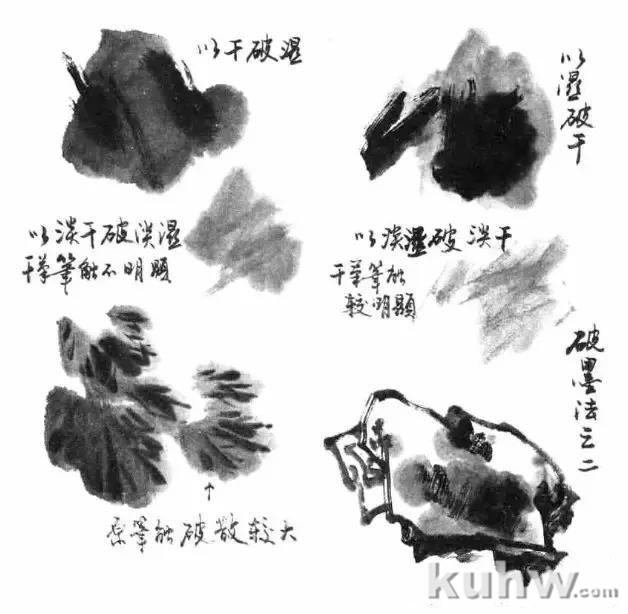 写意花鸟用墨技法详解!