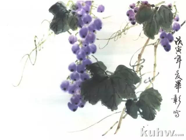 写意花鸟临本:国画葡萄画法,葡萄的绘画技法