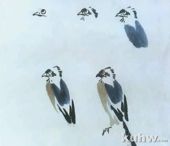 动物写生画法(下)