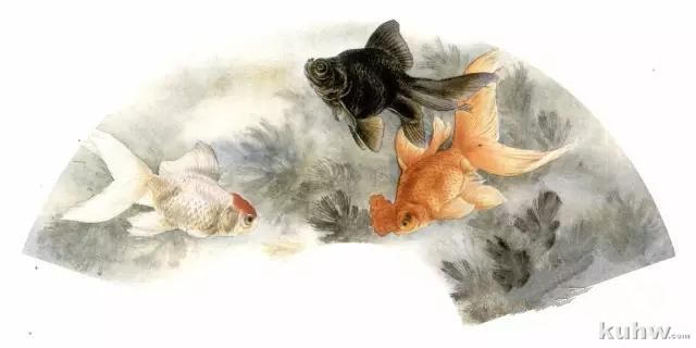 画友之家-技法篇-工笔金鱼白描、设色步骤讲解，给力！