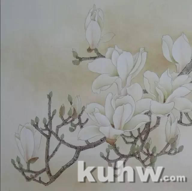 玉兰花绘画教程,真不错!