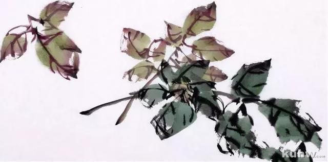 教你如何画彩墨牡丹