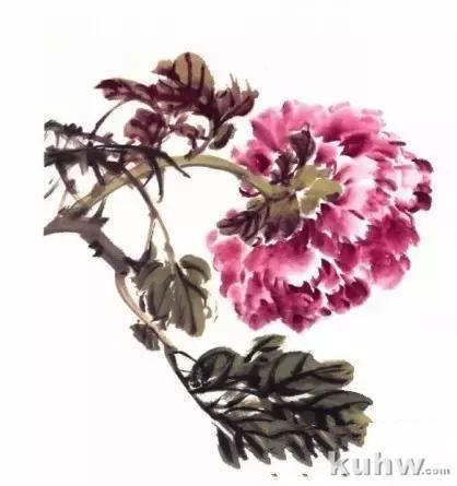 国画自学入门：学国画之画牡丹教程图文示范步骤