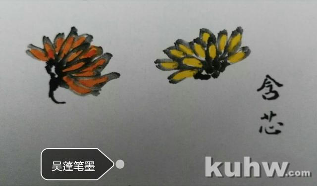 菊花画花头方法:如何画各种开花状态的正面和侧面