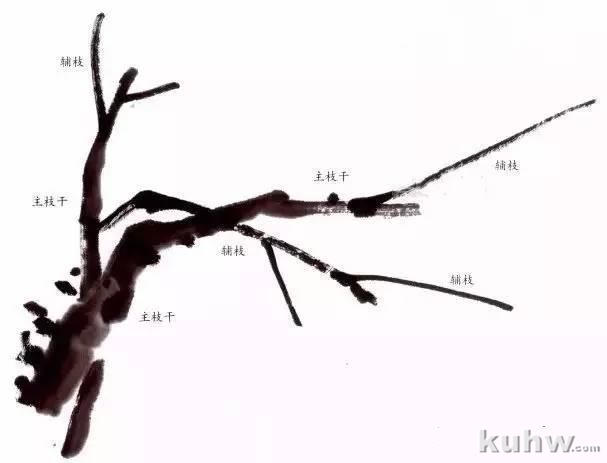 跟着吴昌硕、齐白石学画梅，机会难得！