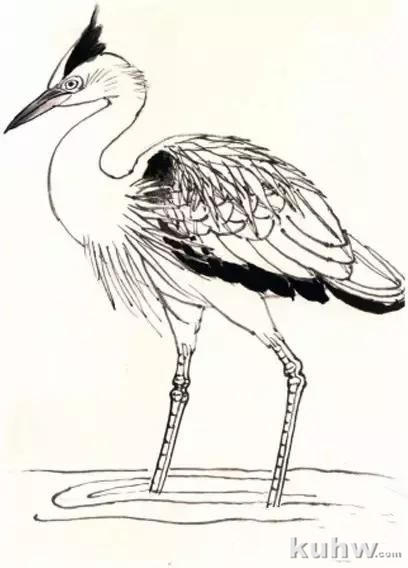 花鸟画技法教程:鹭的写意画法,国画苍鹭和芦苇的画法