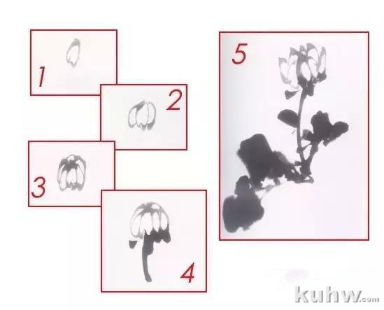 水墨画菊花的画法图文教程，水墨菊花创作技法步骤示范