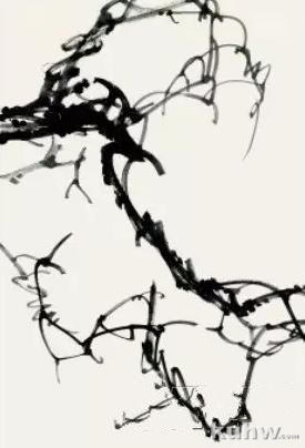 图文教程：葡萄的画法（四）