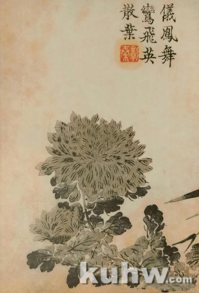 清前名家26种墨菊搭配技法之四，简单易学+21幅示范图