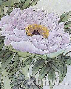 国画牡丹绘画示范步骤详解