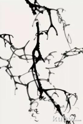 图文教程：葡萄的画法（四）