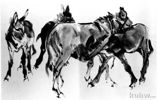 教你怎样画毛驴,小毛驴简单画法画法,国画写意毛驴的画法和步骤图解