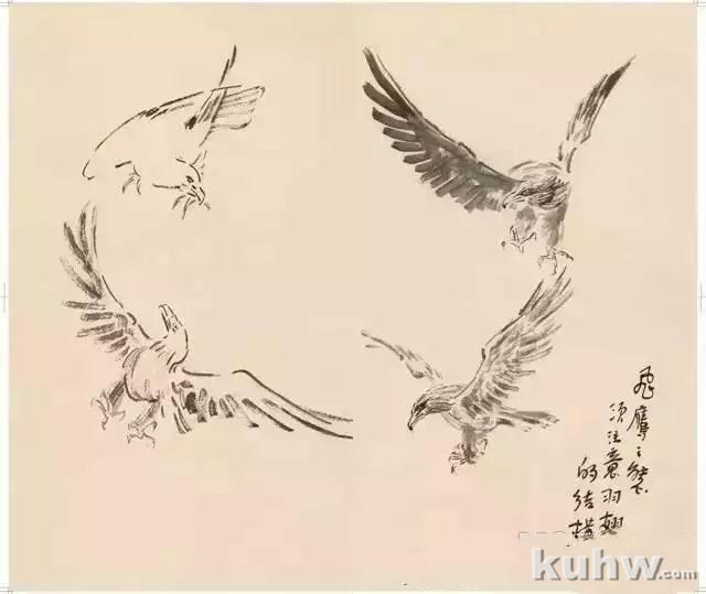 徐悲鸿笔墨再现鸽子、仙鹤及鹰的画法