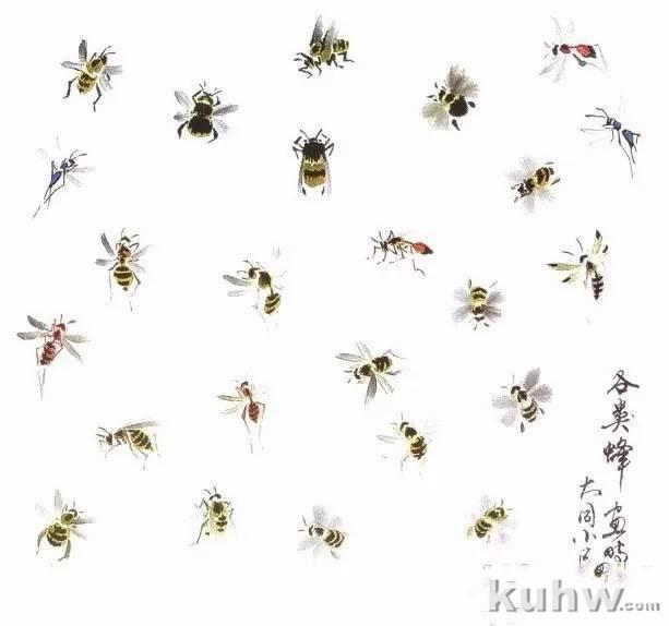 图文教程:写意昆虫画法