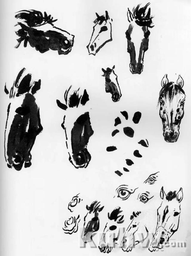 画马超级教程:徐悲鸿画马技法(上)