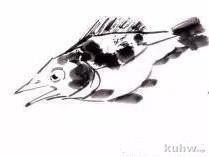 红鲤鱼与鳜鱼的画法示范