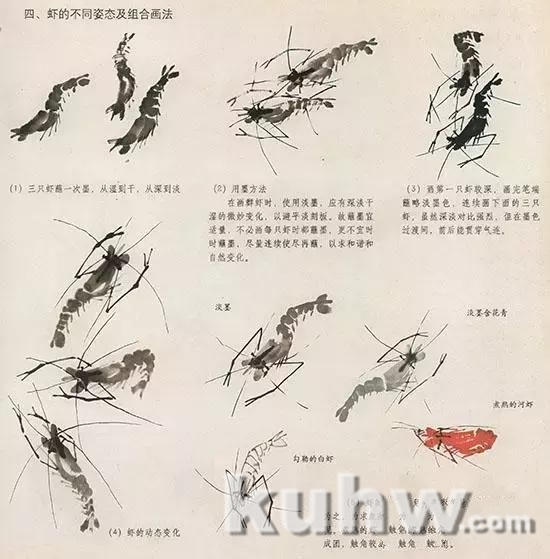 国画花鸟技法:几种虫儿的画法