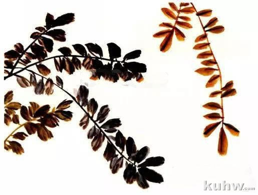 怎么画紫藤,写意紫藤的画法与步骤图