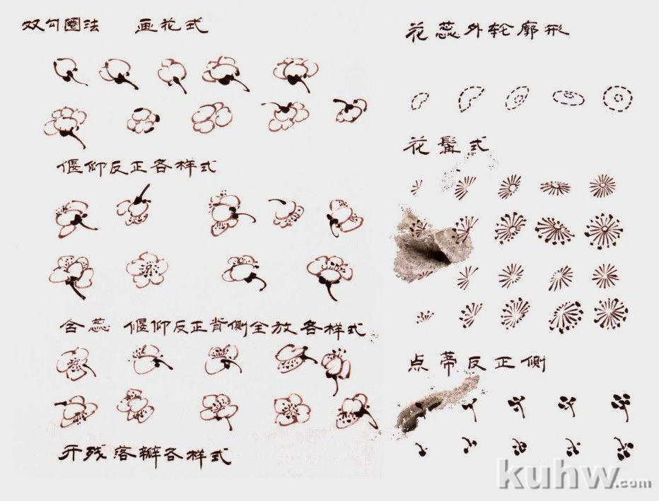 梅花各种的画法：双钩圈花法