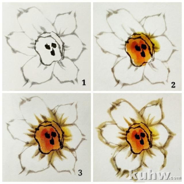国画之水仙花花头的各种造型，水仙花头的画法步骤