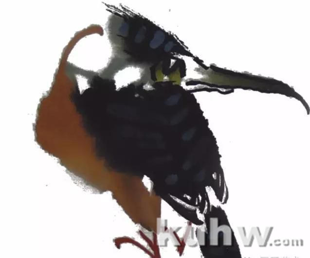 图文教程：写意禽鸟的画法（一）