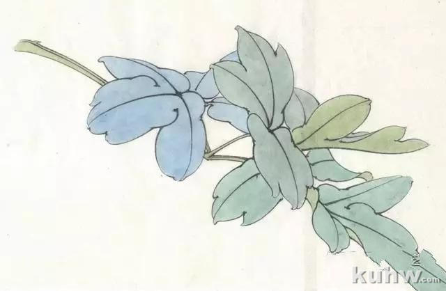 画友之家-技法篇-工笔柿子和牡丹画法大集合，快快收藏！