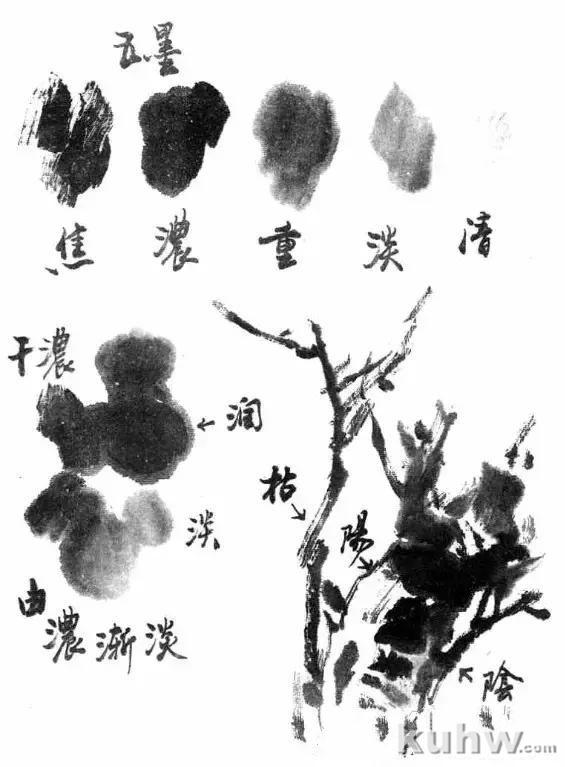 写意花鸟用墨技法详解!