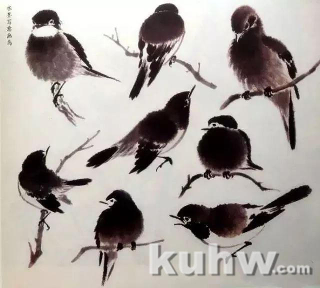 大家江寒汀教你画各类禽鸟!