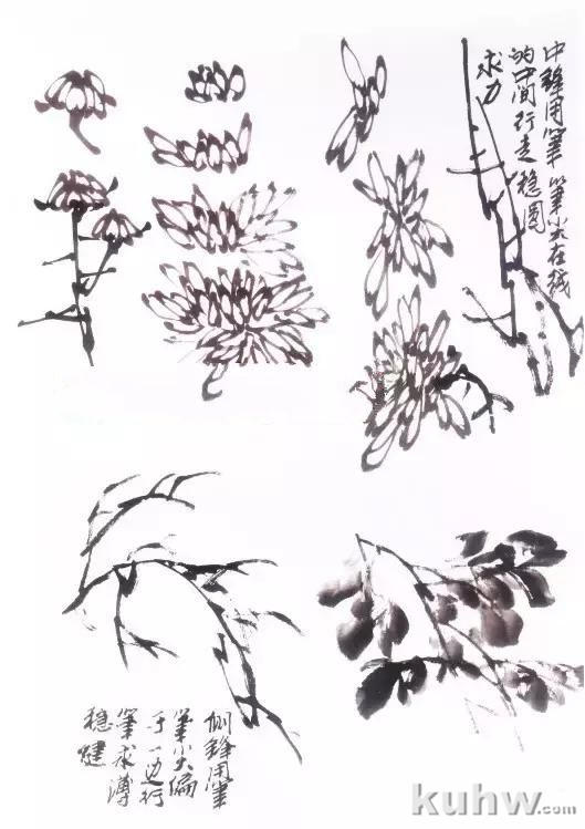 水墨画菊花的画法图文教程，水墨菊花创作技法步骤示范