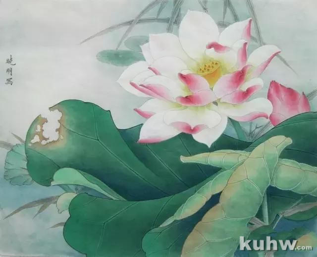 李晓明《荷花蜜蜂图》设色步骤与技法