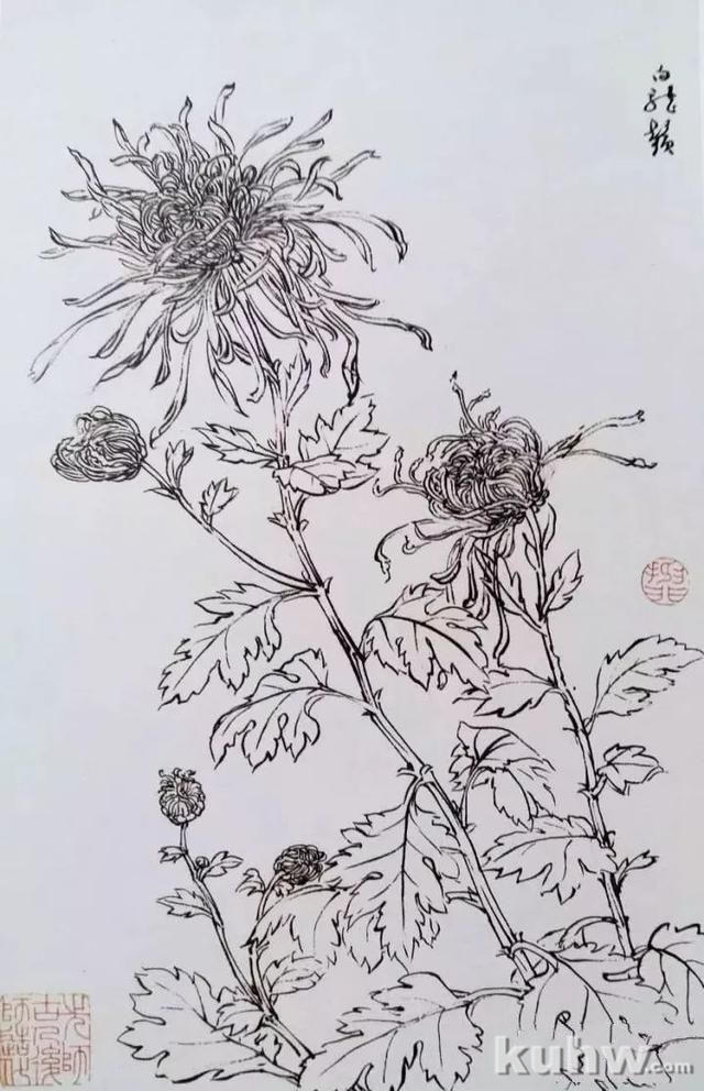 名师课徒稿:跟着陆抑非学画花卉!