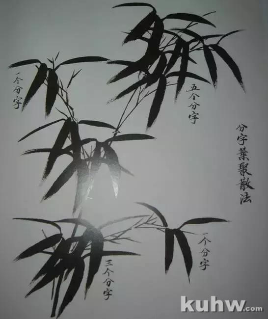 学习画竹,太全面了