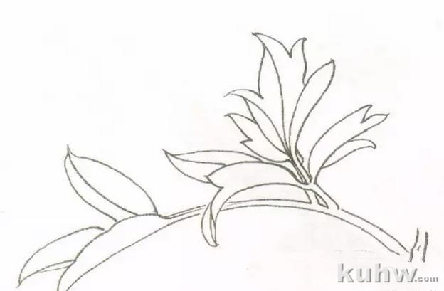 图文教程:工笔牡丹叶子着色方法