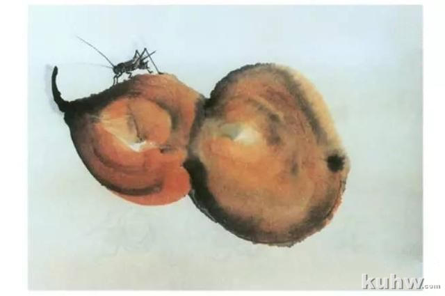 动物写生画法（下）