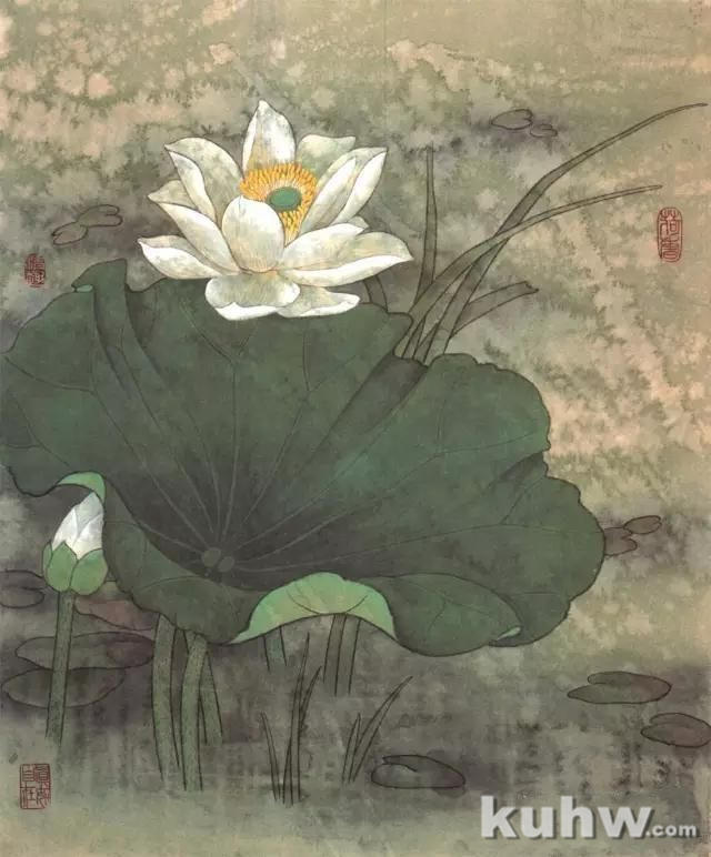 画友之家-技法篇-工笔花卉白描、工具及设色步骤,太全啦!