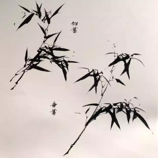 最齐全的墨竹口诀及画法，超好的素材