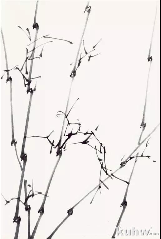 图文教程 丨《竹韵》绘制步骤