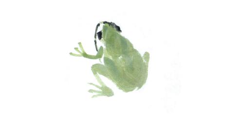 国画课堂――青蛙、虾、小鱼的画法