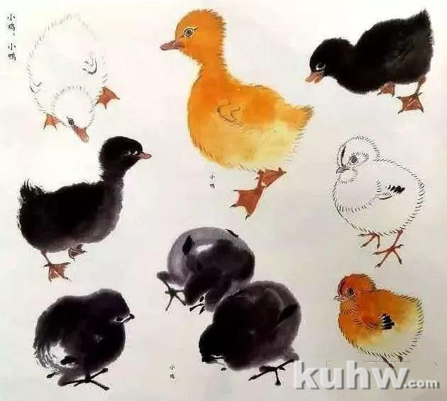 大家江寒汀教你画各类禽鸟!